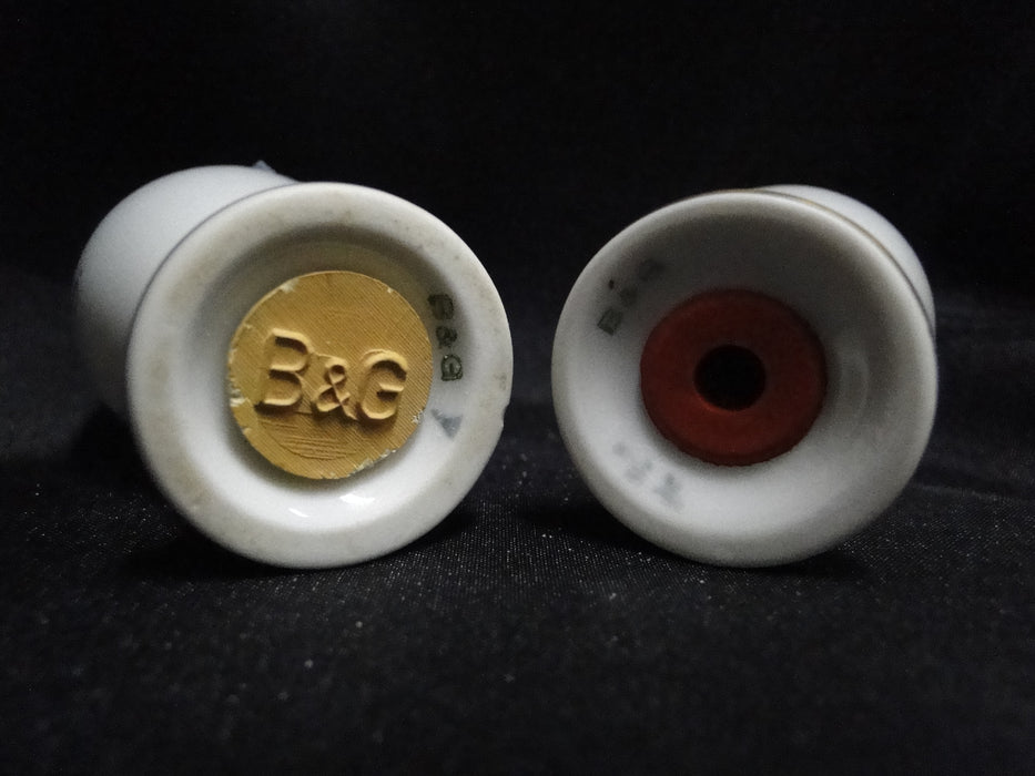 Bing & Grondahl Seagull: Salt Shaker (s), "S", 12 Holes, 2 3/4" Tall