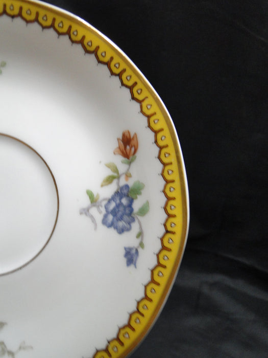Haviland Eden, Birds & Flowers, Mustard Band: Cup & Saucer Set (s), 2"