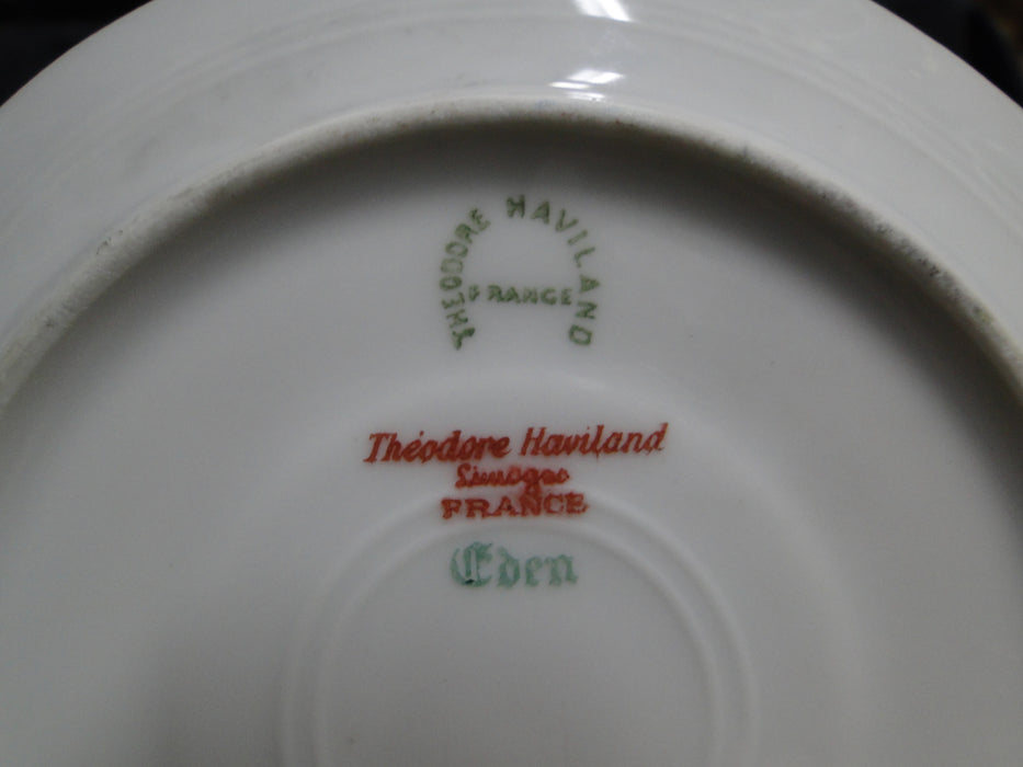 Haviland Eden, Birds & Flowers, Mustard Band: Cup & Saucer Set (s), 2"