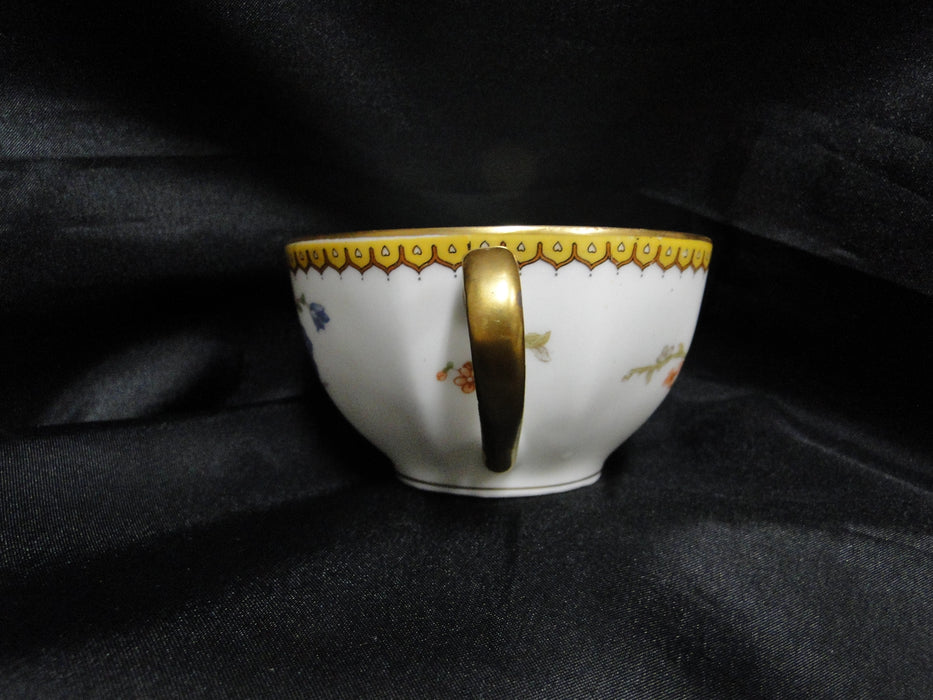 Haviland Eden, Birds & Flowers, Mustard Band: Cup & Saucer Set (s), 2"