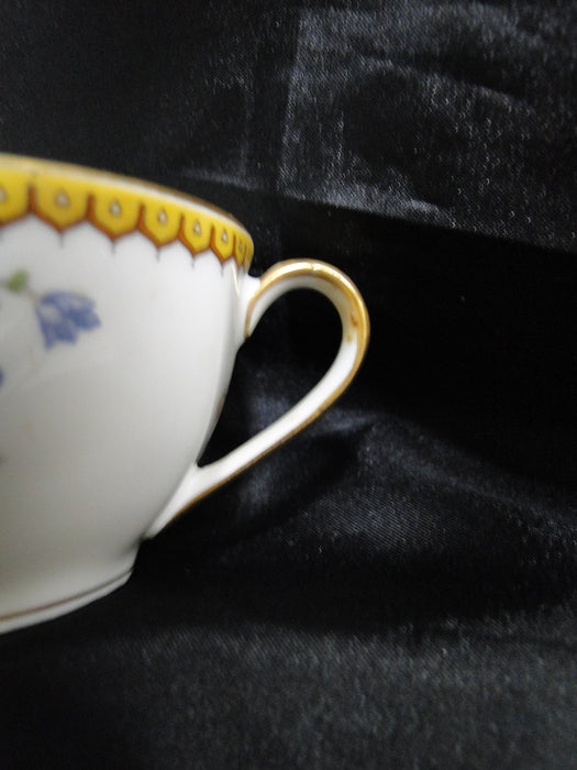 Haviland Eden, Birds & Flowers, Mustard Band: Cup & Saucer Set (s), 2"