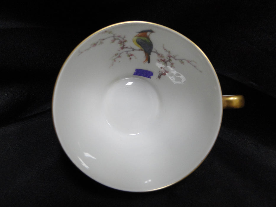 Haviland Eden, Birds & Flowers, Mustard Band: Cup & Saucer Set (s), 2", Reduced