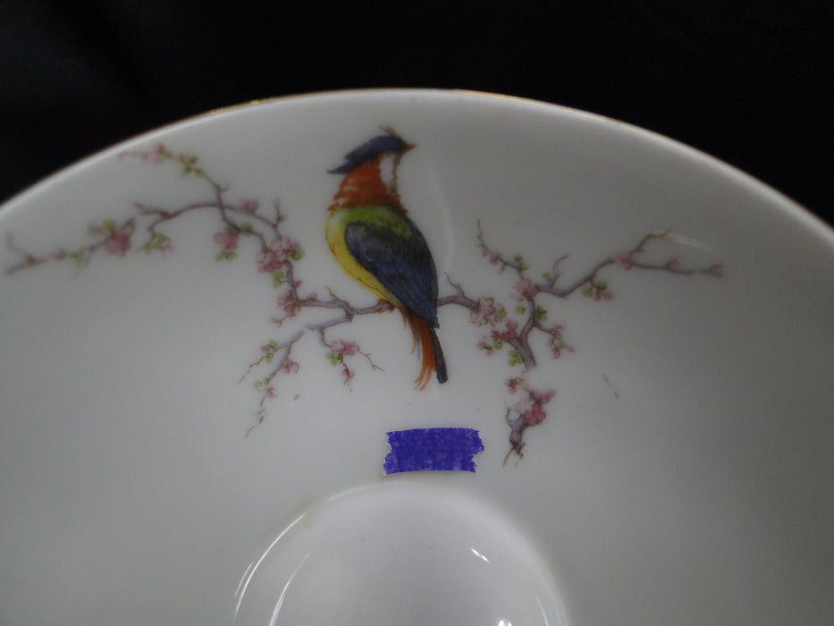 Haviland Eden, Birds & Flowers, Mustard Band: Cup & Saucer Set (s), 2", Reduced
