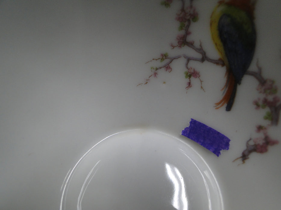 Haviland Eden, Birds & Flowers, Mustard Band: Cup & Saucer Set (s), 2", Reduced