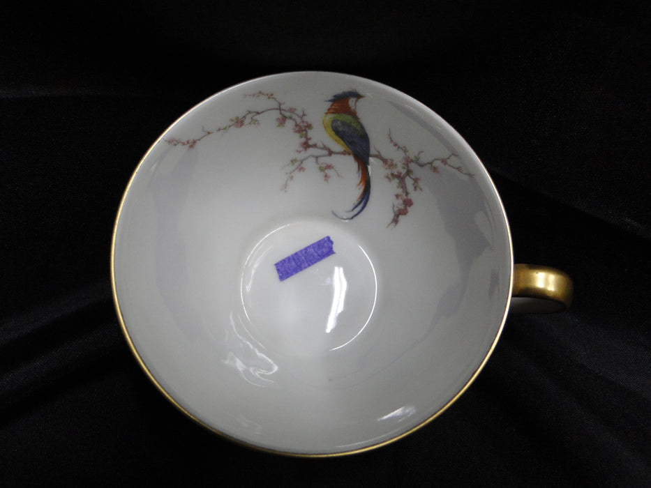 Haviland Eden, Birds & Flowers, Mustard Band: Cup & Saucer Set (s), 2", Reduced