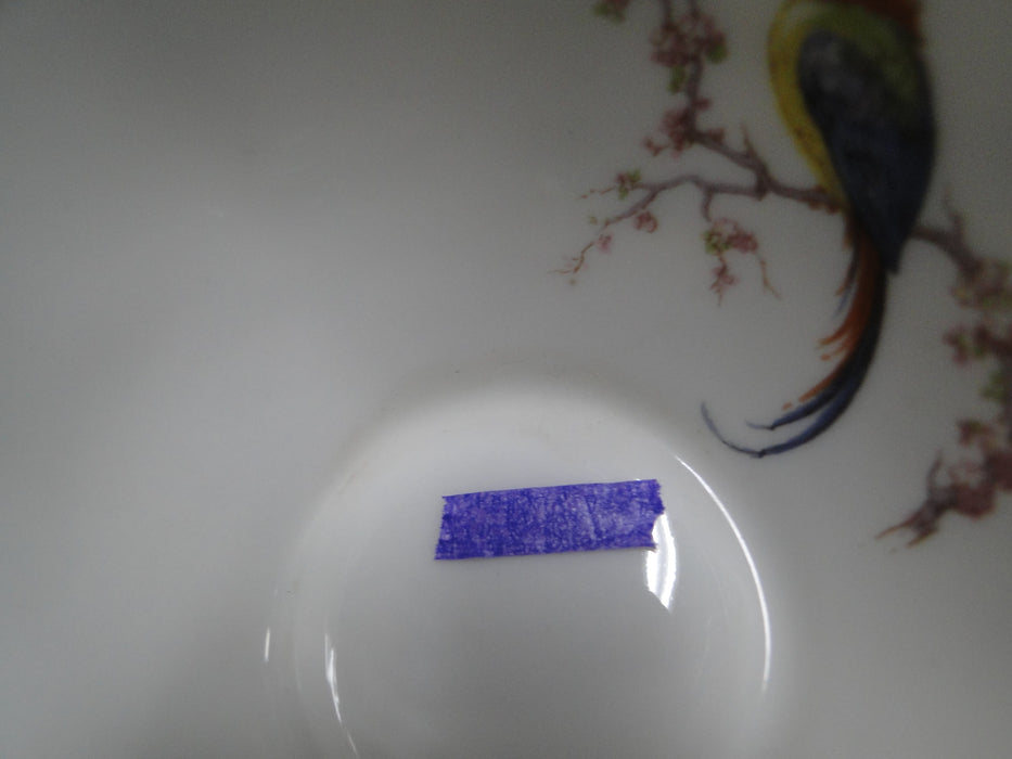 Haviland Eden, Birds & Flowers, Mustard Band: Cup & Saucer Set (s), 2", Reduced