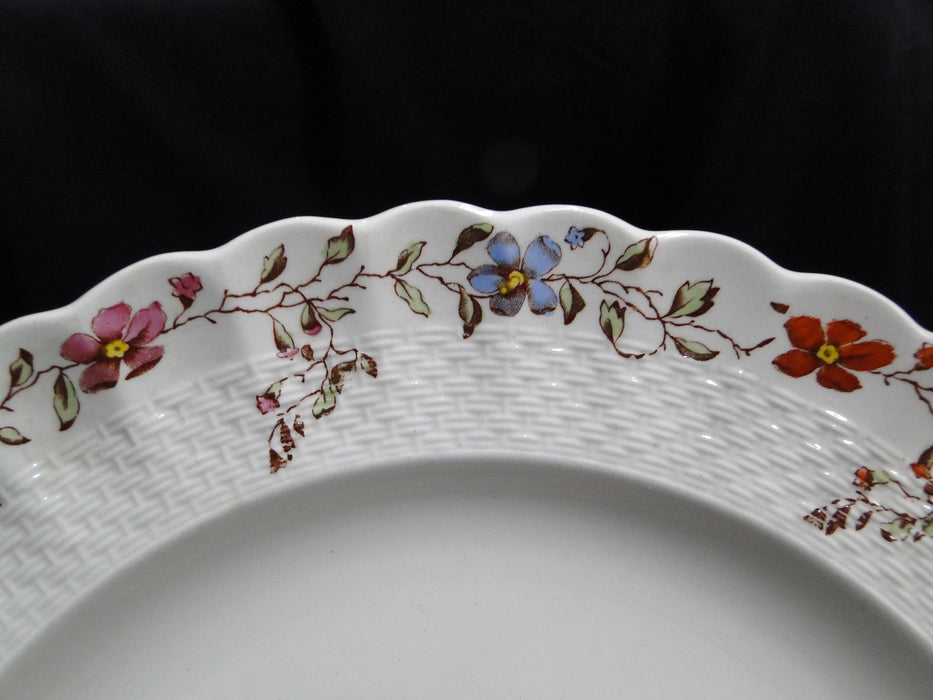 Spode Wicker Dale, Floral on Chelsea Wicker: Dinner Plate (s), 10 1/2", Nicks