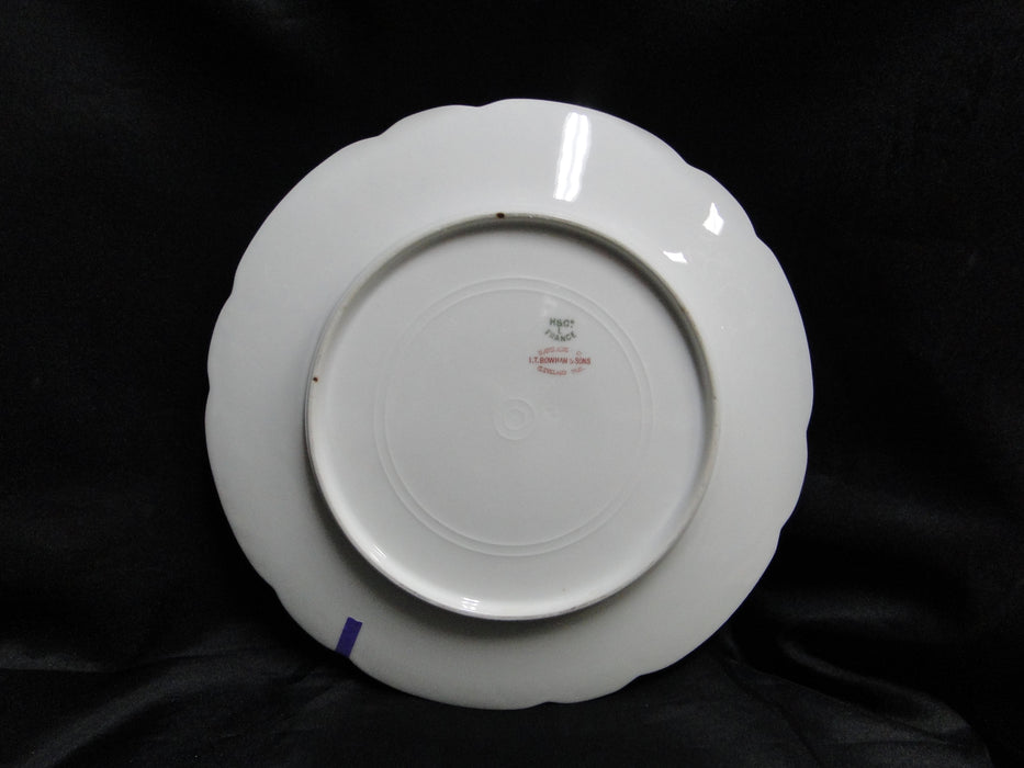 Haviland Schleiger 421, Blank 9, Gold Outlines: Dinner Plate (s), 9 5/8", As Is