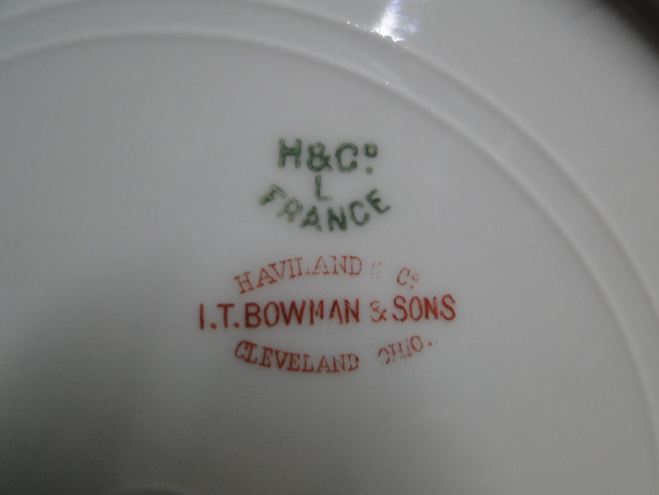 Haviland Schleiger 421, Blank 9, Gold Outlines: Dinner Plate (s), 9 5/8", As Is