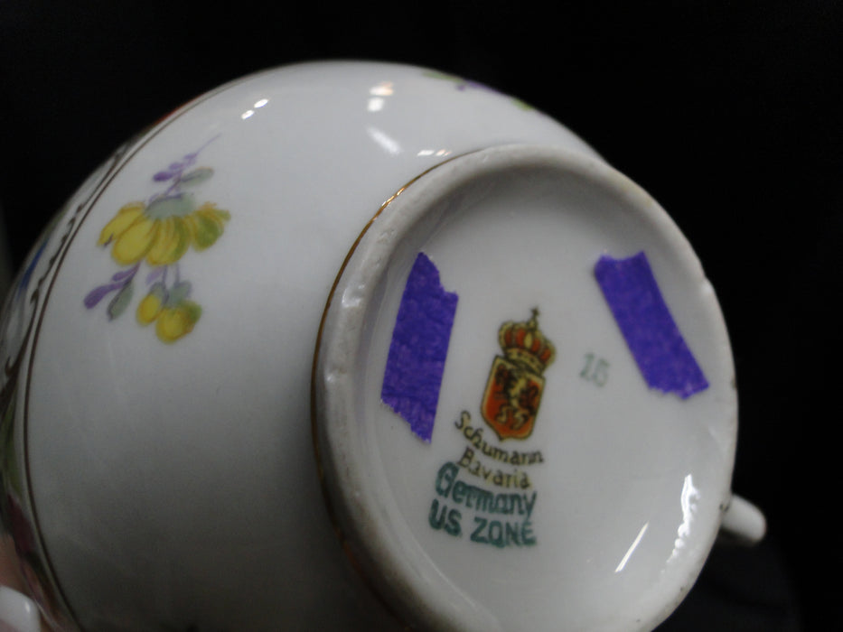 Schumann Dresden, Multicolored Flowers: Cup & Saucer Set (s), Wear