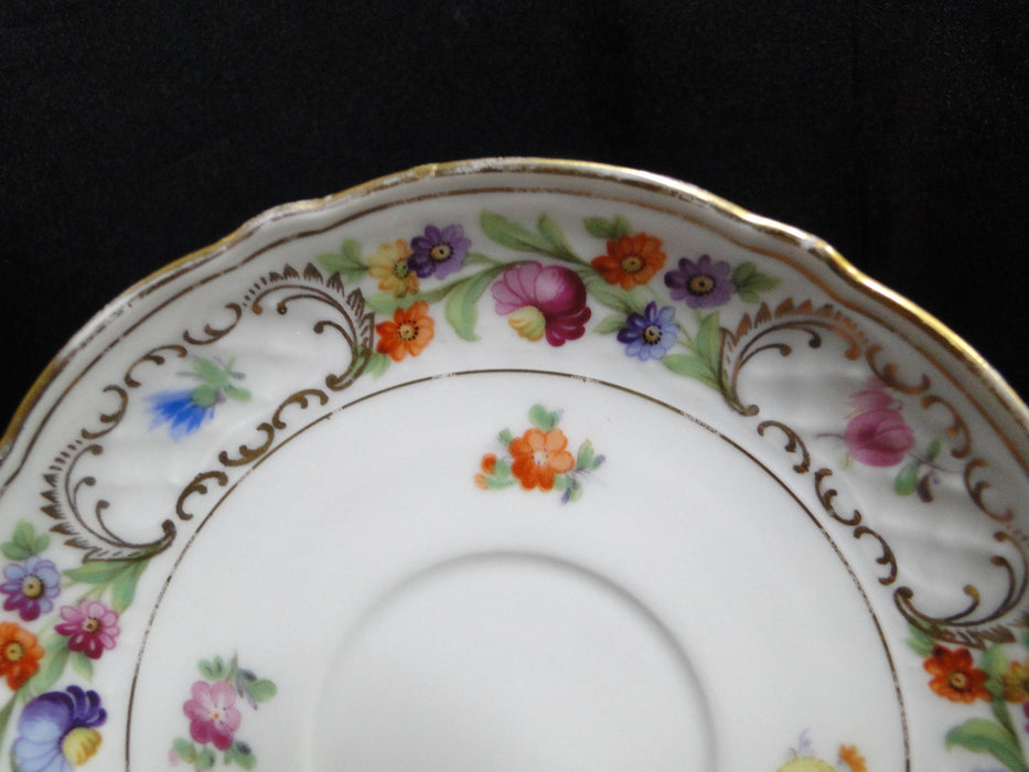 Schumann Dresden, Multicolored Flowers: Cup & Saucer Set (s), Wear