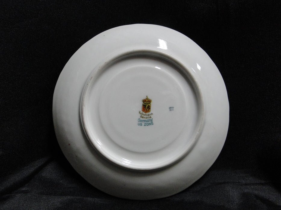 Schumann Dresden, Multicolored Flowers: Cup & Saucer Set (s), Wear