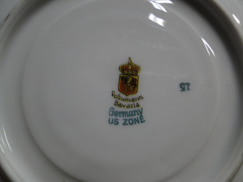 Schumann Dresden, Multicolored Flowers: Cup & Saucer Set (s), Wear