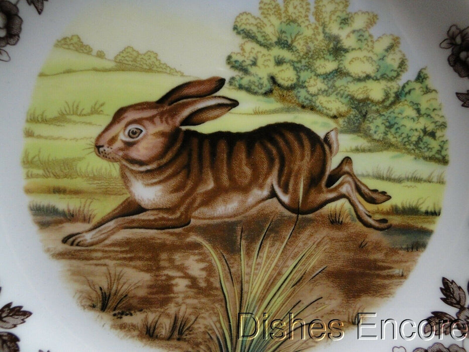 Spode Woodland Rabbit, Bunny, England: NEW Salad Plate (s), 7 3/4", Box