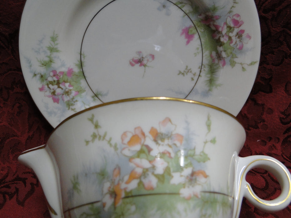 Haviland (New York) Apple Blossom: Cream Pitcher, Flowers Pale Orange