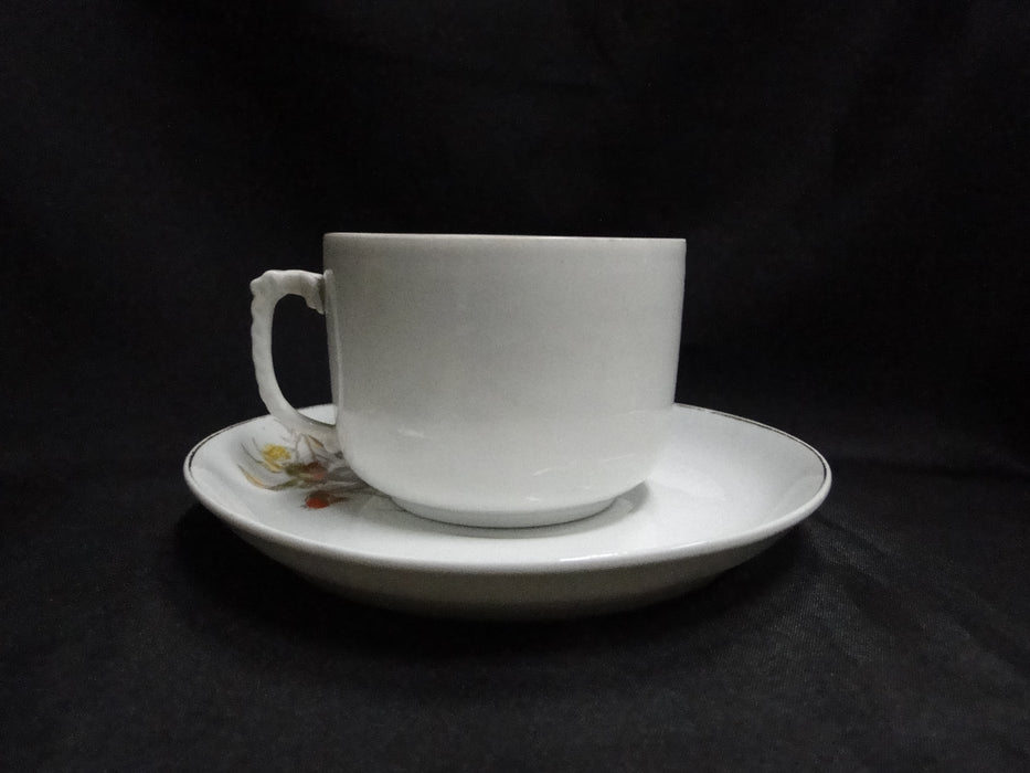 Schwalb Brothers (BSM), Coral Flowers: Cup & Saucer Set (s), 2 1/2"