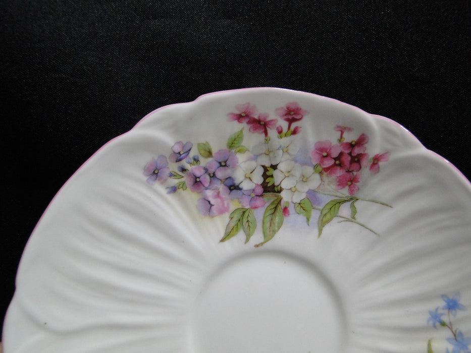 Shelley Stocks, Pink Flowers & Trim: Cup & Saucer Set, 2 3/8", Oleander