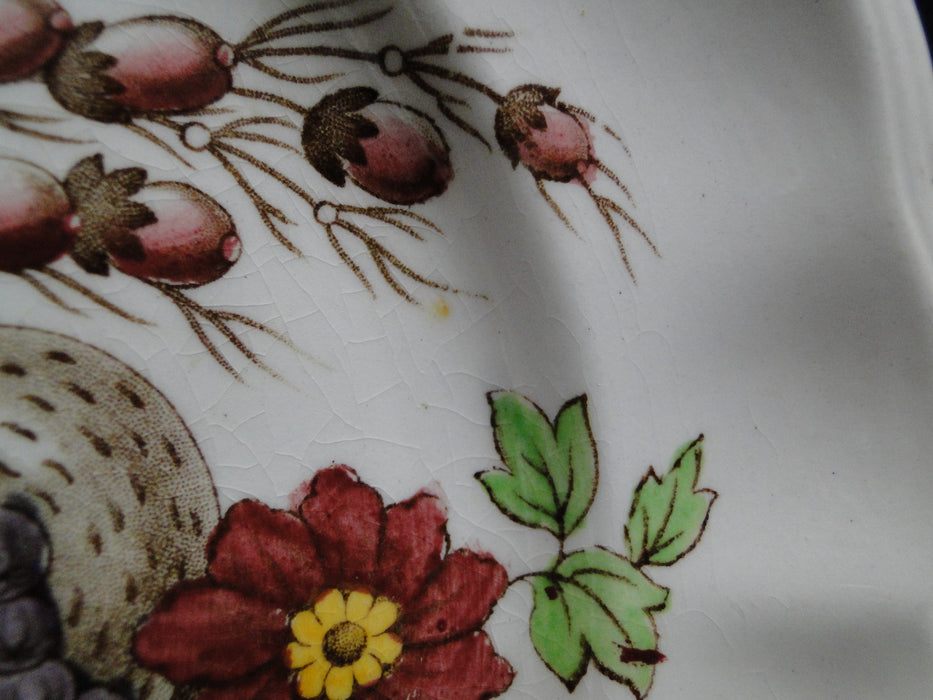 Copeland Spode Reynolds, Fruits & Flowers: Salad Plate (s), 7 7/8", Crazing