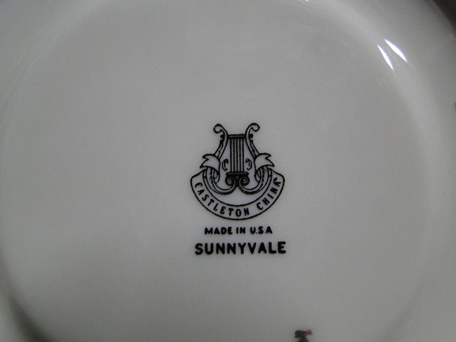 Castleton Sunnyvale, Multicolored Flowers: 6 1/8" Saucer Only, No Cup