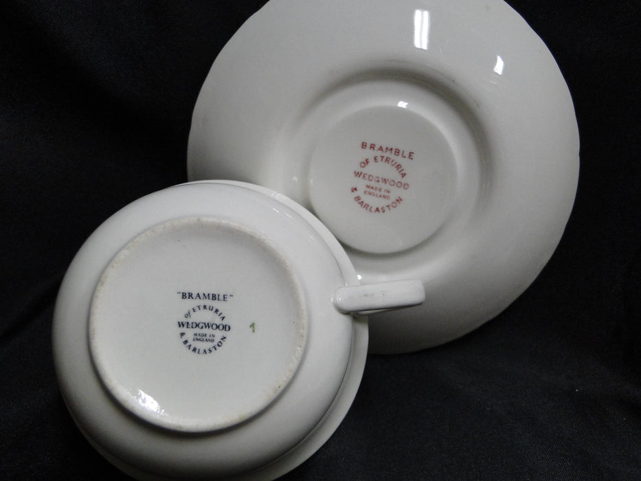 Wedgwood Bramble Pink Shell Edge, Queen's Ware: Cup & Saucer Set, 2 1/4"