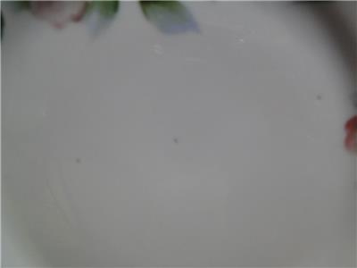 Noritake Nippon Pink / White Flowers, Black Edge: Cake Plate & 6 Plate Set