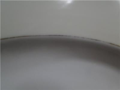 Thun Thu71 Floral Rim & Center, Cream Band: Oval Serving Platter, 15 7/8"