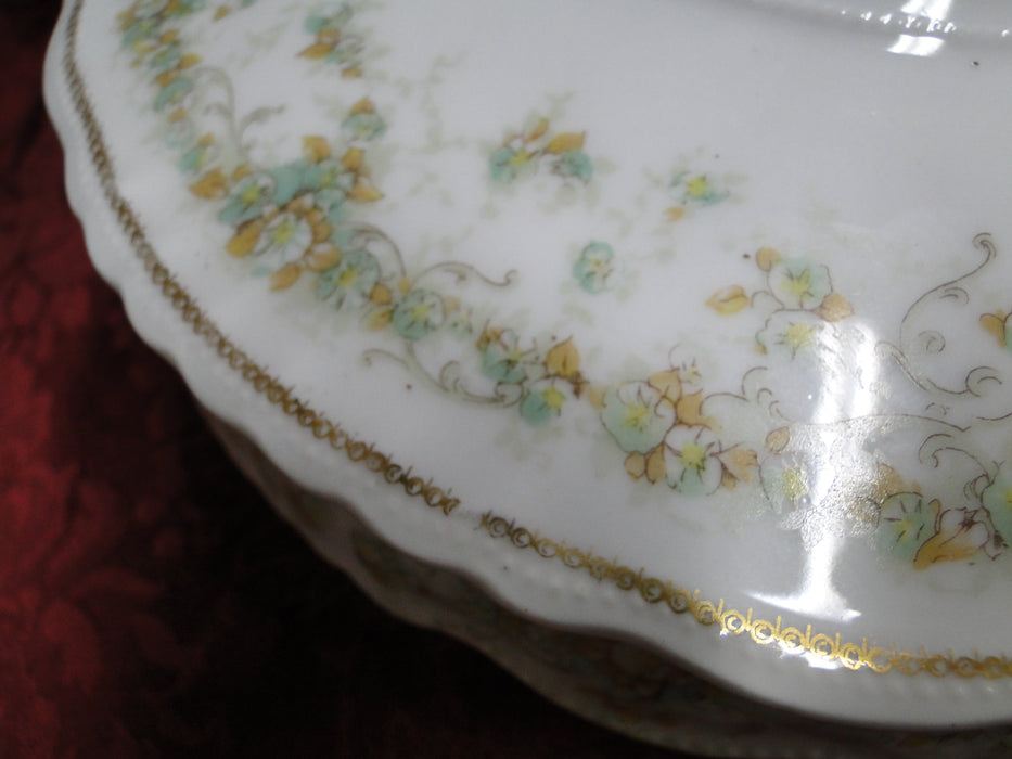 Haviland (Limoges) Green & Tan Floral Garland: Round Serving Bowl & Lid