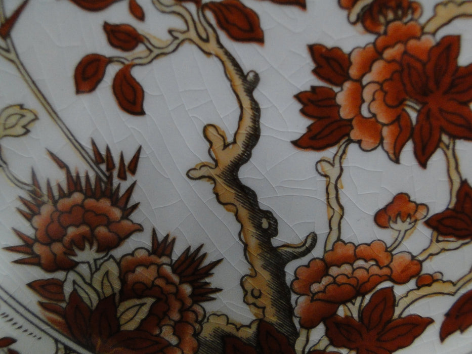 Spode Indian Tree Orange Rust: Bread Plate (s), 6 3/8", Crazing