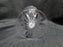 Waterford Crystal Maeve, Vertical & Criss Cross: Water or Wine Goblet, As Is