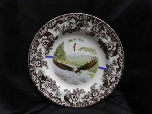 Spode Woodland Birds of Prey Spring Bald Eagle: Dinner Plate (s), 10 1/2", Flaw