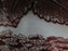 Mason's Vista Pink, Transferware: Oval Platter, 13 1/2", Gadroon, Crazing