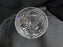 Glastonbury Lotus 66-2, Gray Cut Florals: Champagne / Sherbet, 5 5/8", As Is