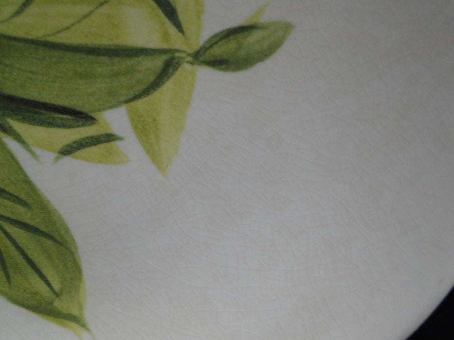Red Wing Magnolia Chartreuse, MCM: Dinner Plate (s), 10 1/2", Crazing, Discolor