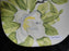 Red Wing Magnolia Chartreuse, MCM: Dinner Plate (s), 10 1/2"
