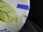 Red Wing Magnolia Chartreuse, MCM: Salad Plate (s), 7 3/8", As Is