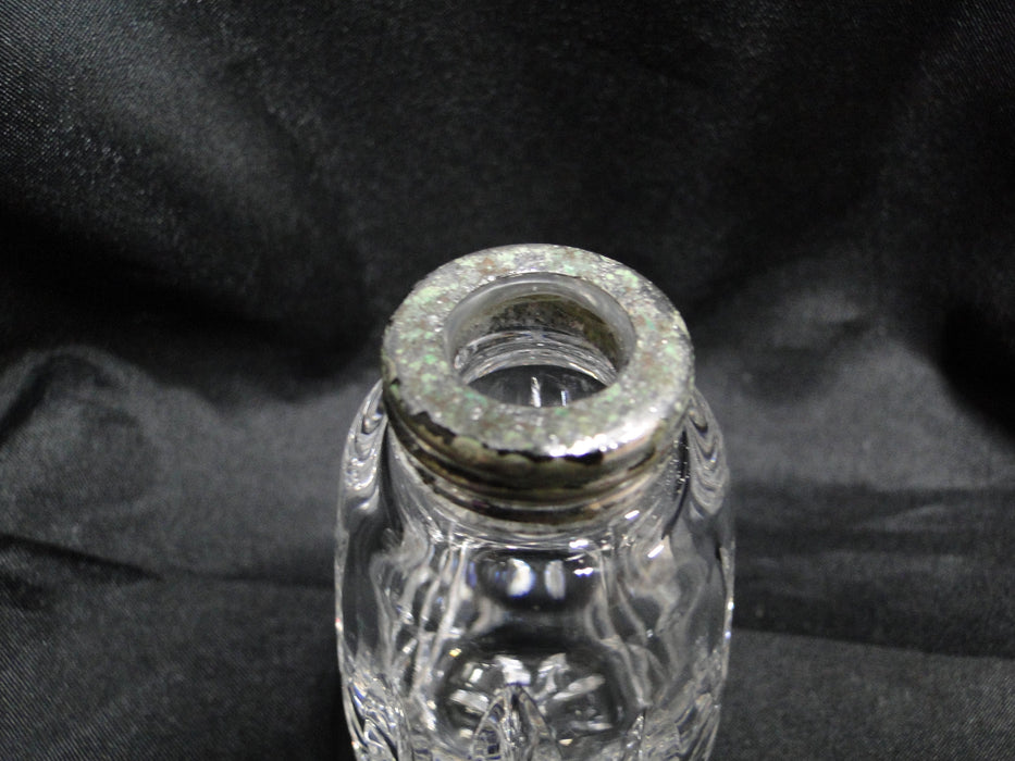 Waterford Crystal Lismore: Salt OR Pepper Shaker, 3 3/4", 16 Larger Holes, Wear