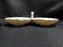 Lenox Bermuda Collection, Gold Trim: Handled Divided Server / Relish Dish 9 1/8"