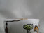 Crown Staffordshire Hunting Scene: Hunters, Horses: Flat Cup & Saucer, As Is