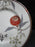 Wedgwood Pashmina, Floral Vines: Bread Plate (s), 6"