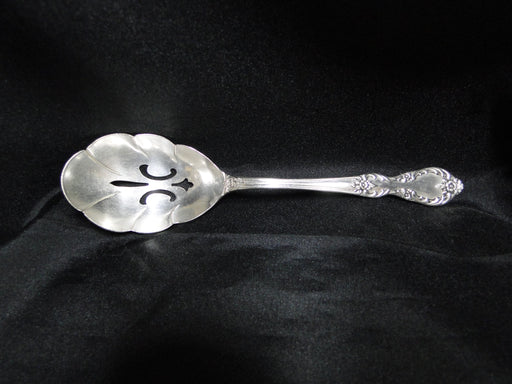 International Silver Grand Elegance Silverplate: Pierced Sugar Sifter Spoon 6.25