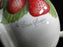 Portmeirion Strawberry Fair, White Flowers, Laurel: Tea Pot & Lid, 6 1/2", Box