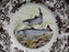 Spode Woodland King Salmon Fish: Dinner Plate, 10 1/2", Flaw
