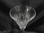 Waterford Crystal Millennium: Health Champagne Flute, 9 1/4", Flowers