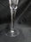 Waterford Crystal Millennium: Health Champagne Flute, 9 1/4", Flowers