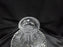 Waterford Crystal Alana, Cut Cross Hatch: Ships Decanter & Stopper, 10" Tall