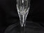 Lenox Firelight Gold Crystal, Gold Trim: Champagne Flute (s), 9 1/2" Tall
