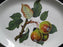 Portmeirion Pomona: Oval Steak Platter, Squash Pear, 13" x 9 3/8", No Laurel