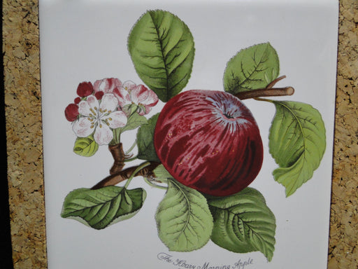 Portmeirion Pomona: Square Cork Back Trivet, Hoary Morning Apple, 7 5/8"