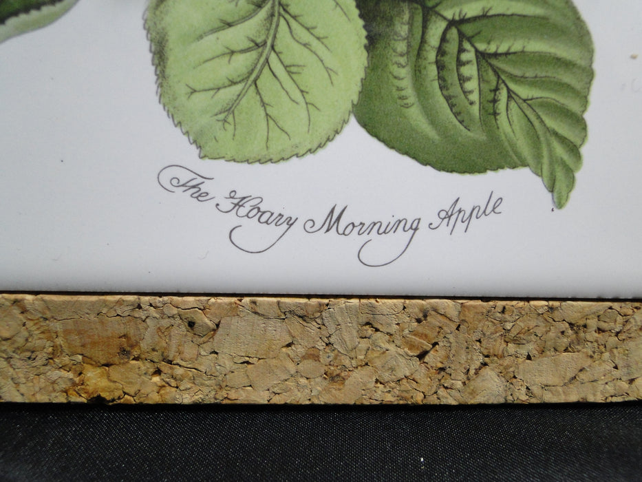Portmeirion Pomona: Square Cork Back Trivet, Hoary Morning Apple, 7 5/8"