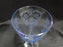 Fostoria Versailles Blue, Etched: Iced Tea, 5 7/8" Tall, As Is